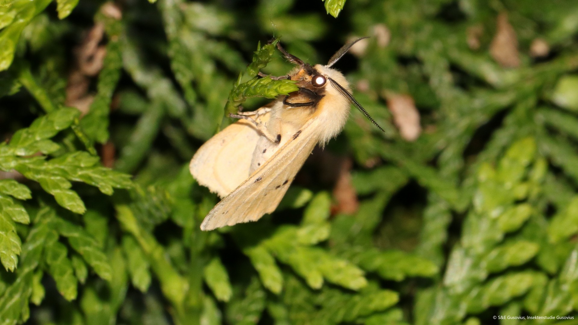 Bavarian State Ministry for the Environment and Consumer Protection: