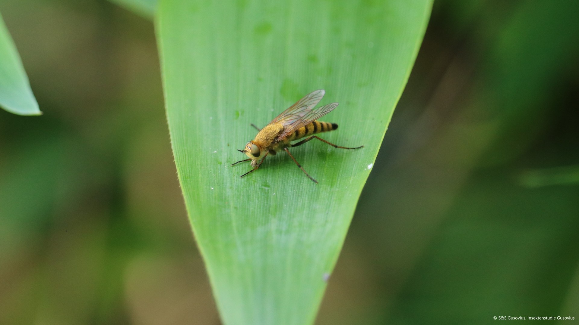 Spektrum.de (science magazine):