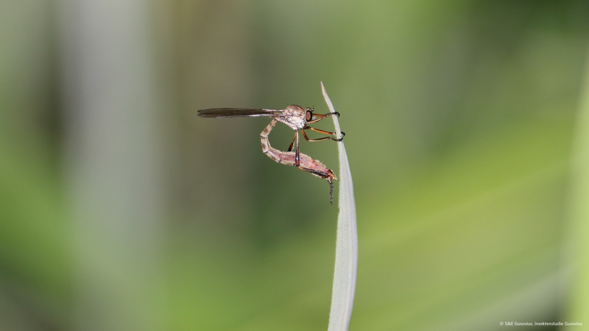 Quote from Magazine Stern.de: